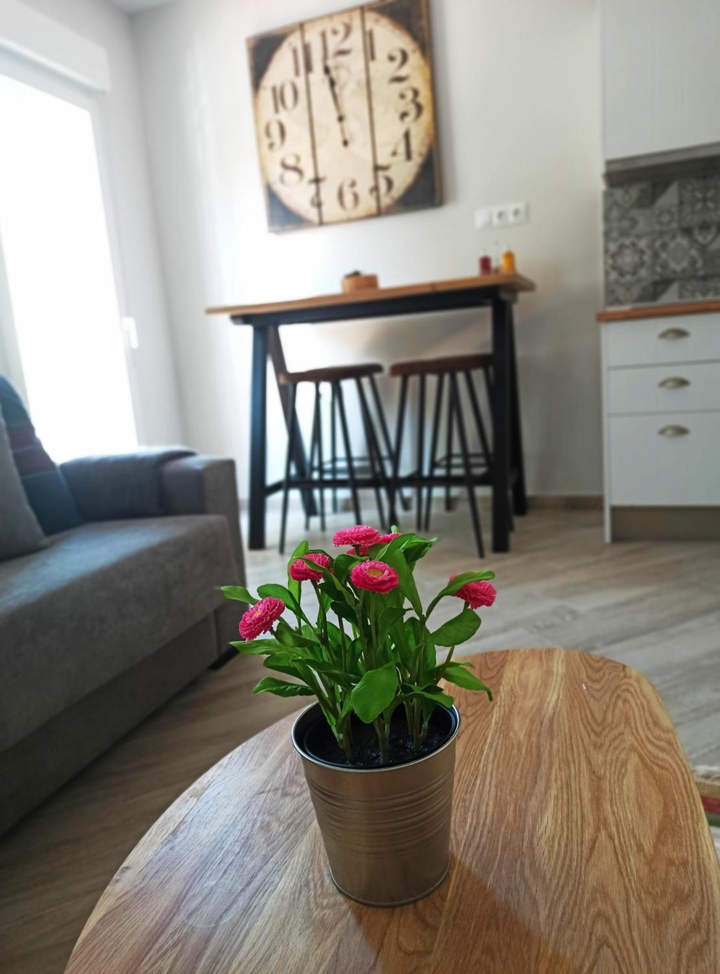 Barcelo 21, Parking On Request, Atico With Terrace & Studio With Patio, Center, Breakfast Included, Quite Neighborhood, Bc Malaga Room photo